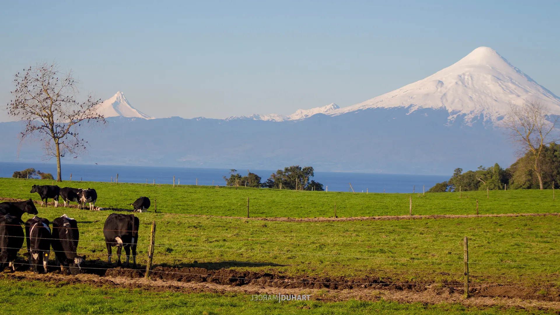 Agua purificada de la Patagonia – Aquamax Puerto Montt delivery a domicilio